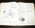Next Page - 